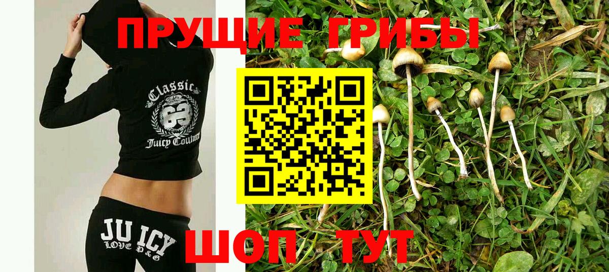 Псилоцибиновые грибы GOLDEN TEACHER Пермь